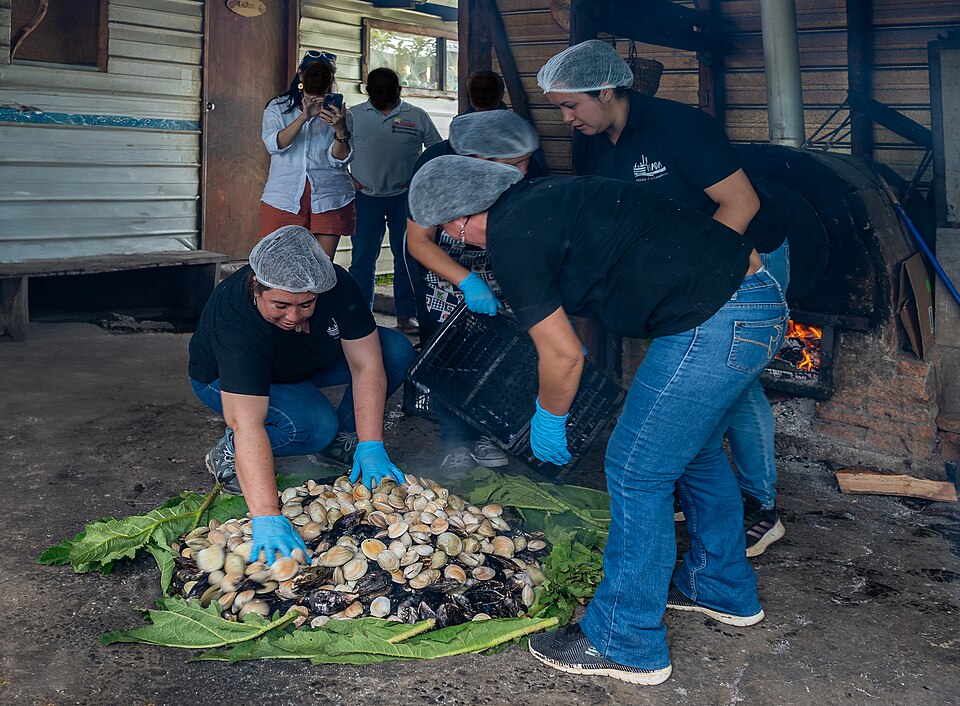 Preparación de curanto en hoyo
